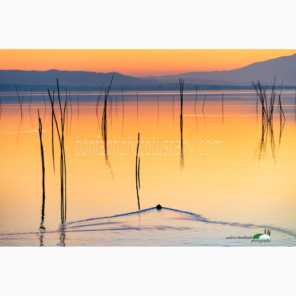 colors of trasimeno lake after sunset.jpg
