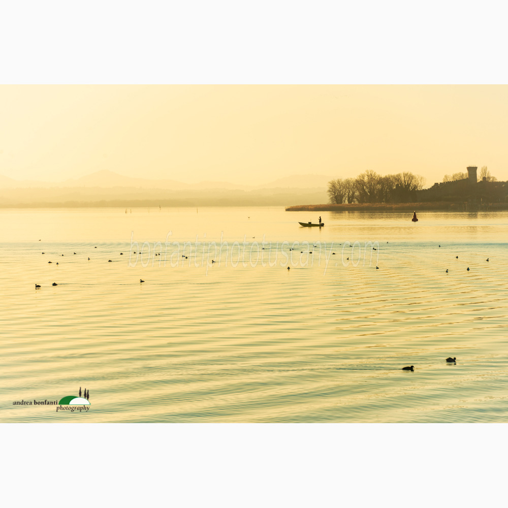 fisherman's boat on the lake in pictorial light.jpg