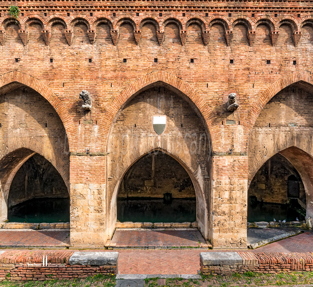 Siena - fonte branda #3