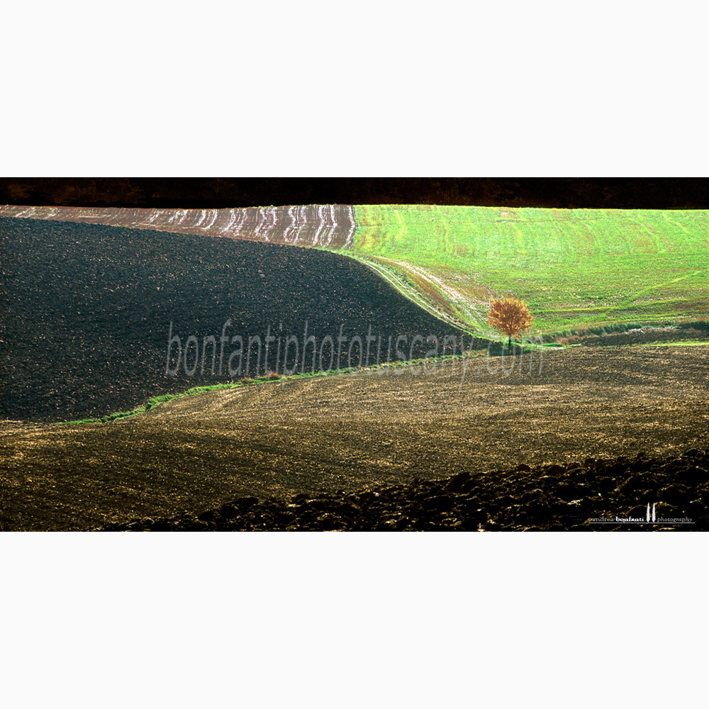 crete senesi landscape Autumn #4 grania.jpg