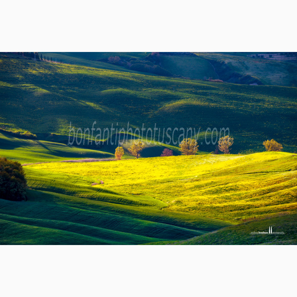 crete senesi landscape Spring #5 chiusure.jpg