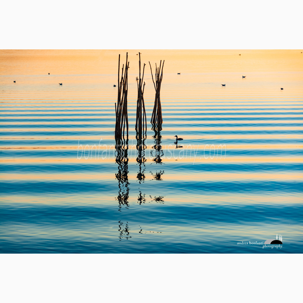 abstract waves on the trasimeno lake after sunset.jpg