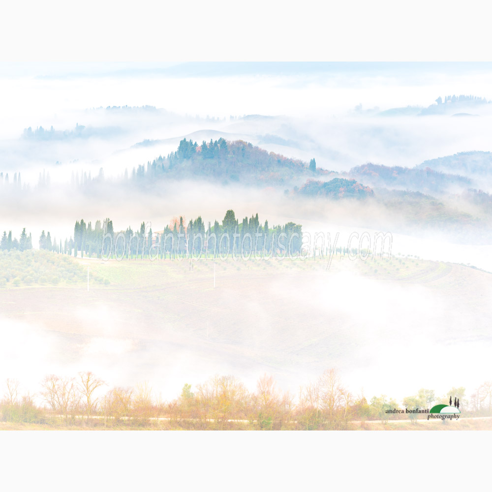 flat layers and cypress trees.jpg