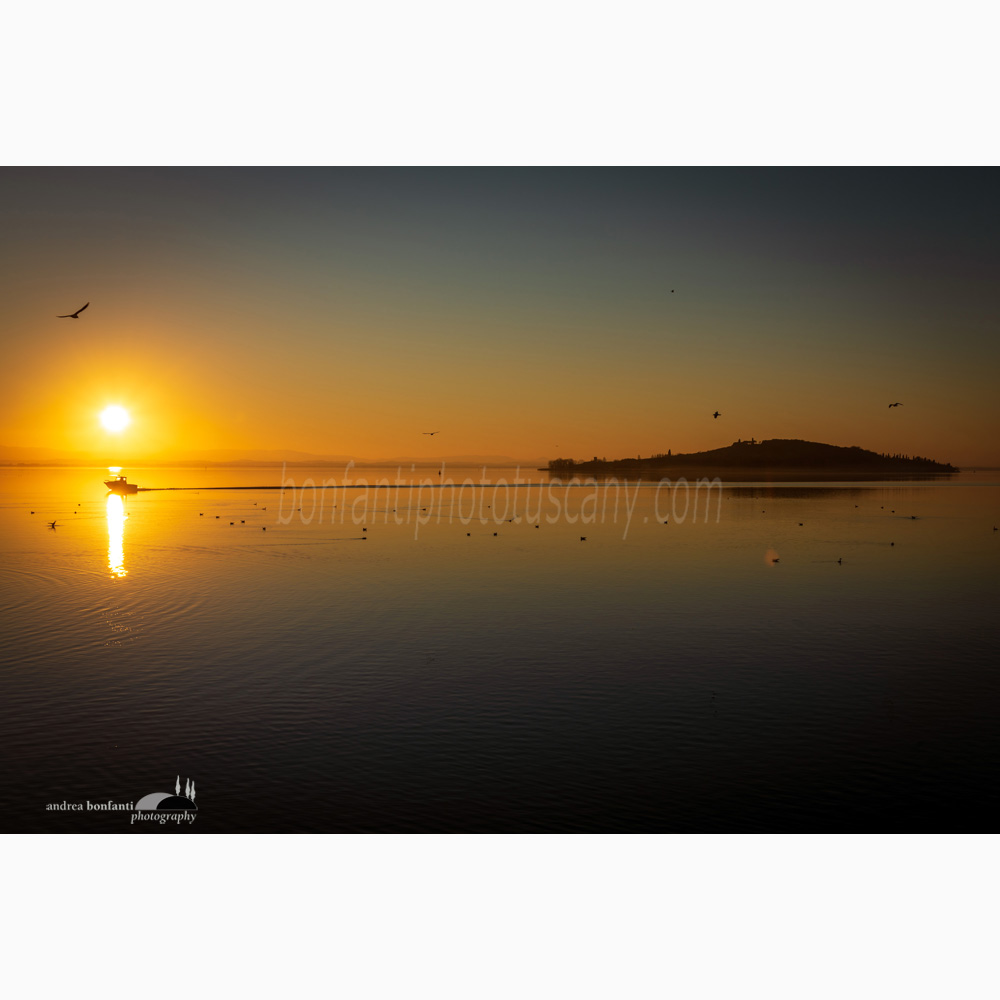 polvese island at sunset from san feliciano sul trasimeno.jpg