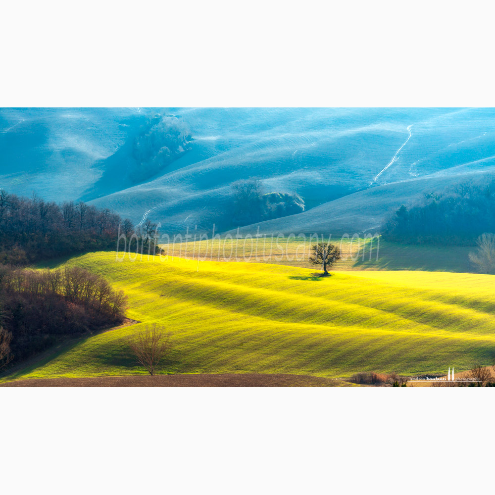 crete senesi landscape Winter #8 grania.jpg