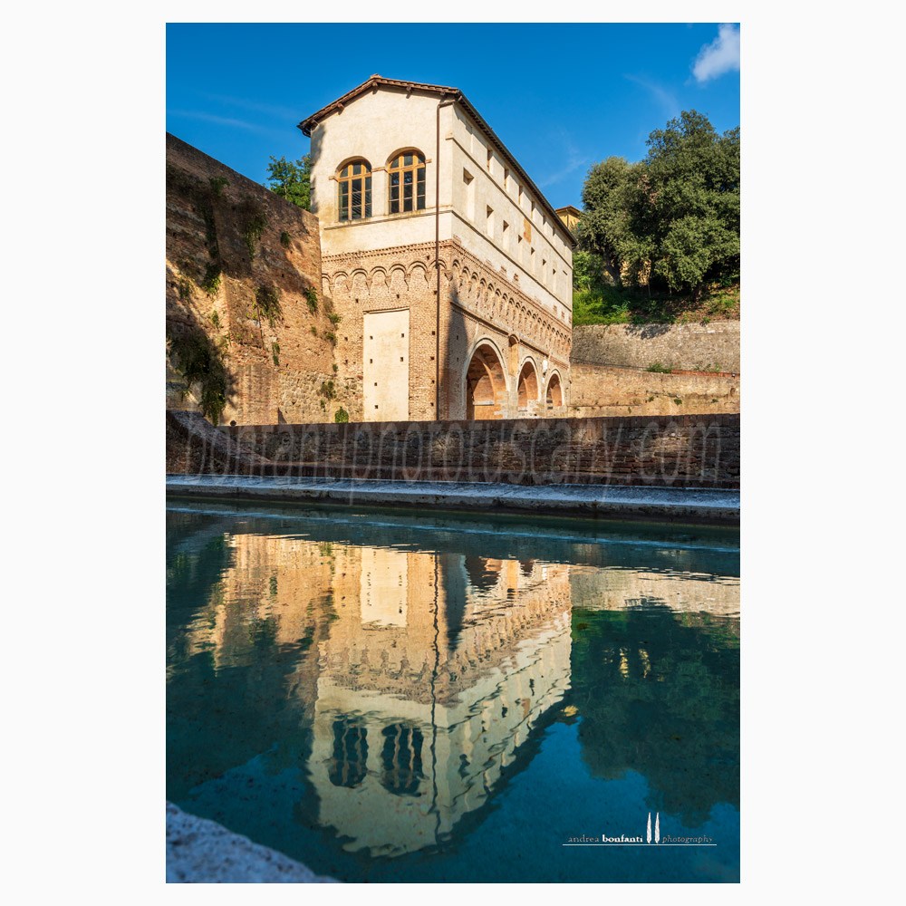 Siena - fonte di pescaia #4 riflesso