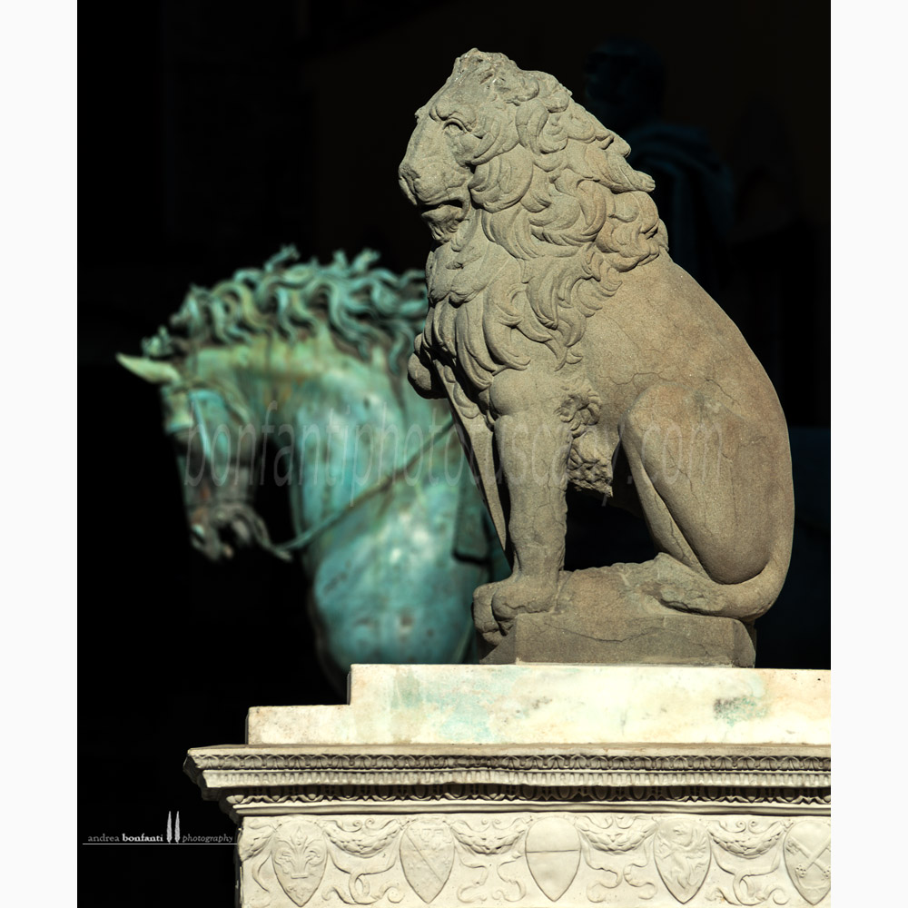 Marzocco in piazza Signoria - Firenze
