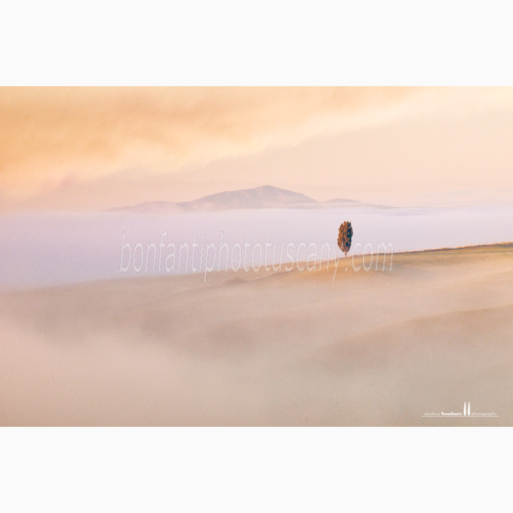 crete senesi landscape Winter #1 torre a castello.jpg