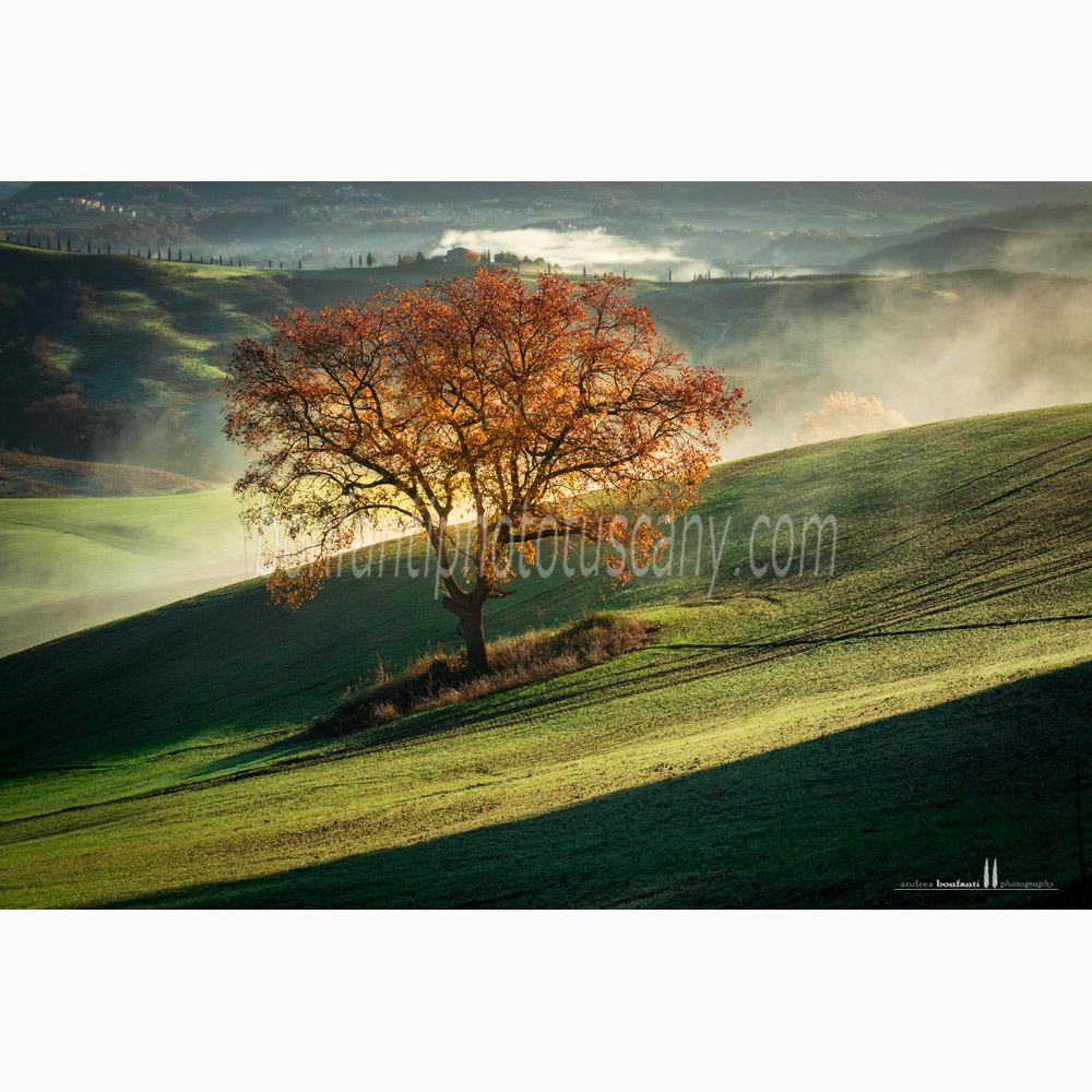 crete senesi landscape Autumn #2 monte sante marie.jpg