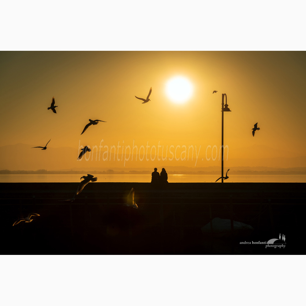 sunset with flying seagulls at san feliciano.jpg