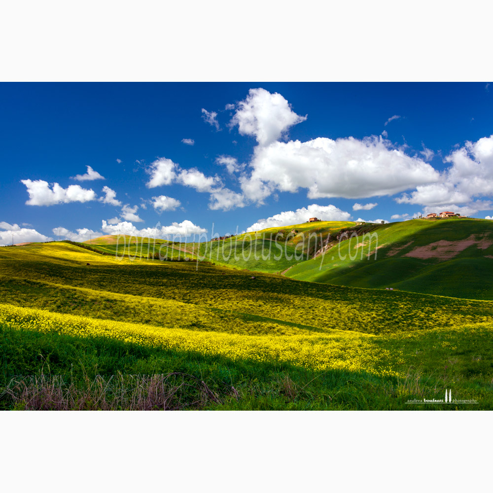 crete senesi landscape Spring #9 calceno.jpg