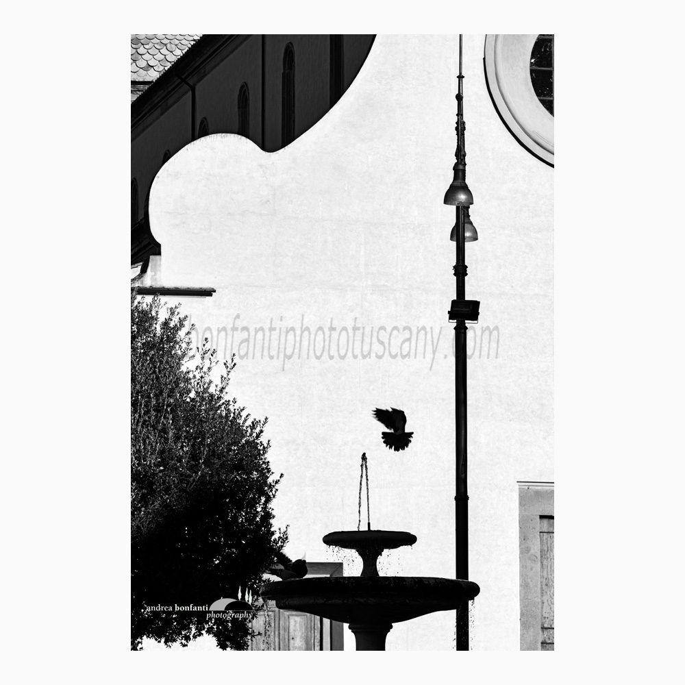 a metaphysical postcard sent from piazza Santo Spirito in Florence.jpg a metaphysical postcard sent from piazza Santo Spirito in Florence.jpg