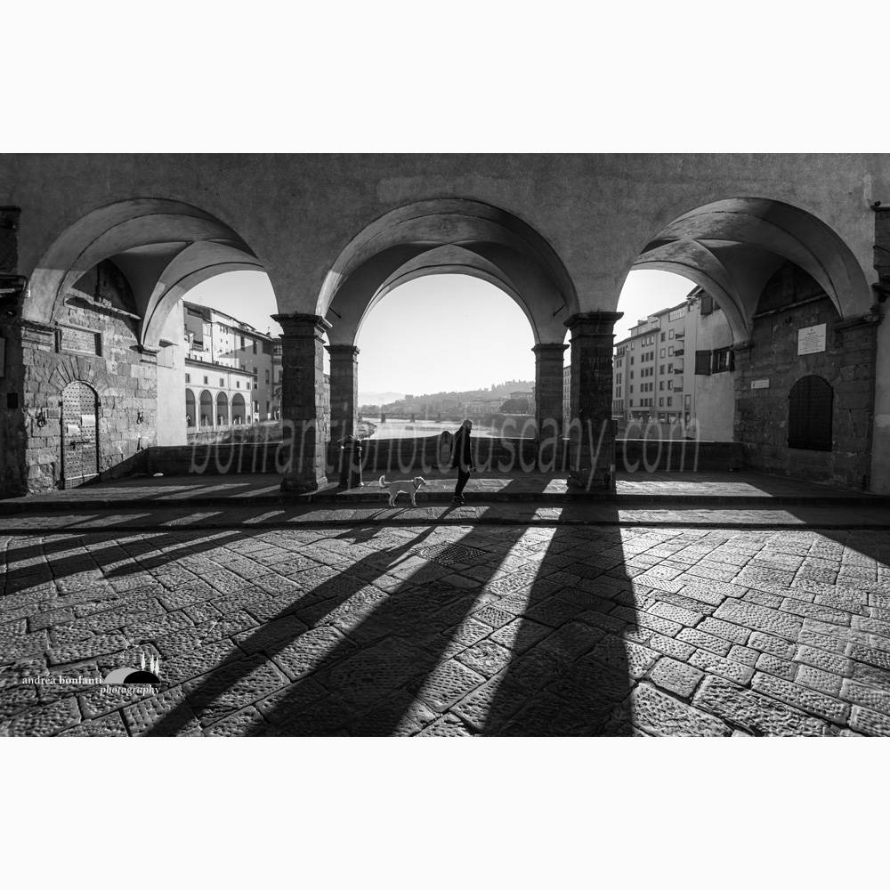 big arches of Ponte Vecchio in chiaroscuro.jpg big arches of Ponte Vecchio in chiaroscuro.jpg