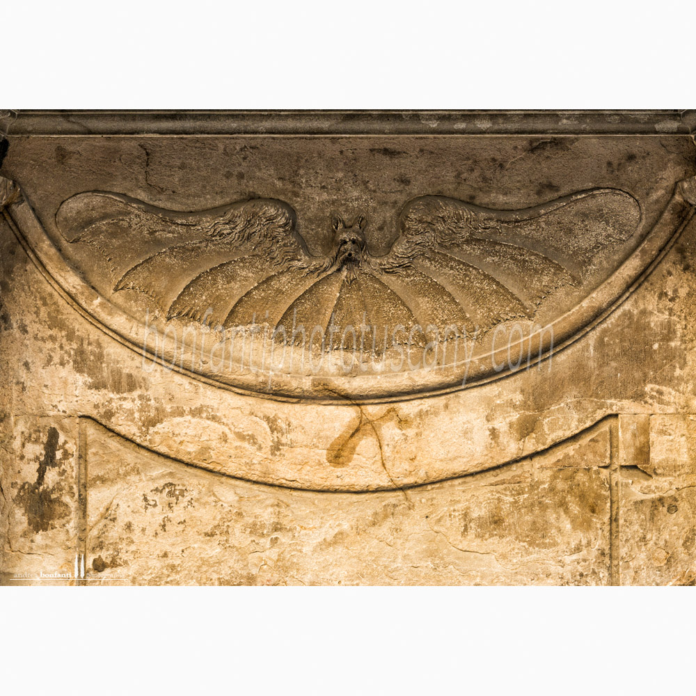 vispistrello in via maggio.jpg