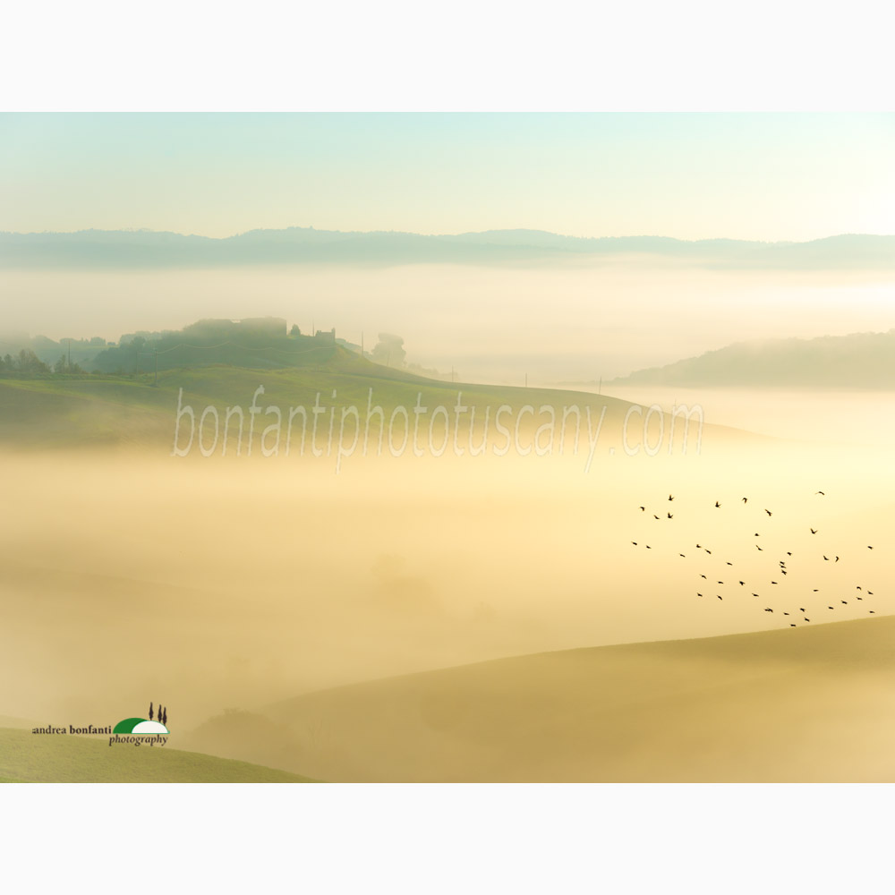 flying over the mist of Torre a Castello.jpg