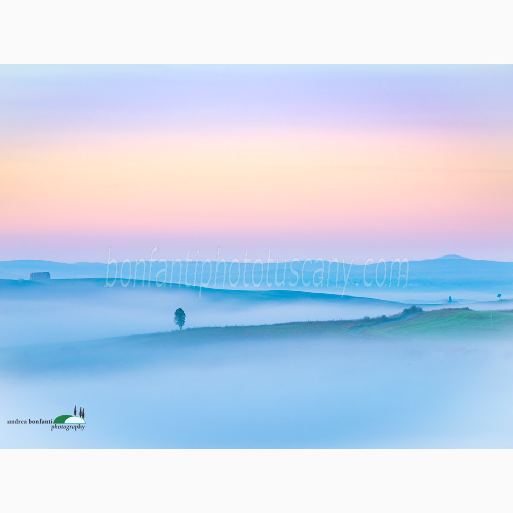 already downing on the hills of Siena.jpg