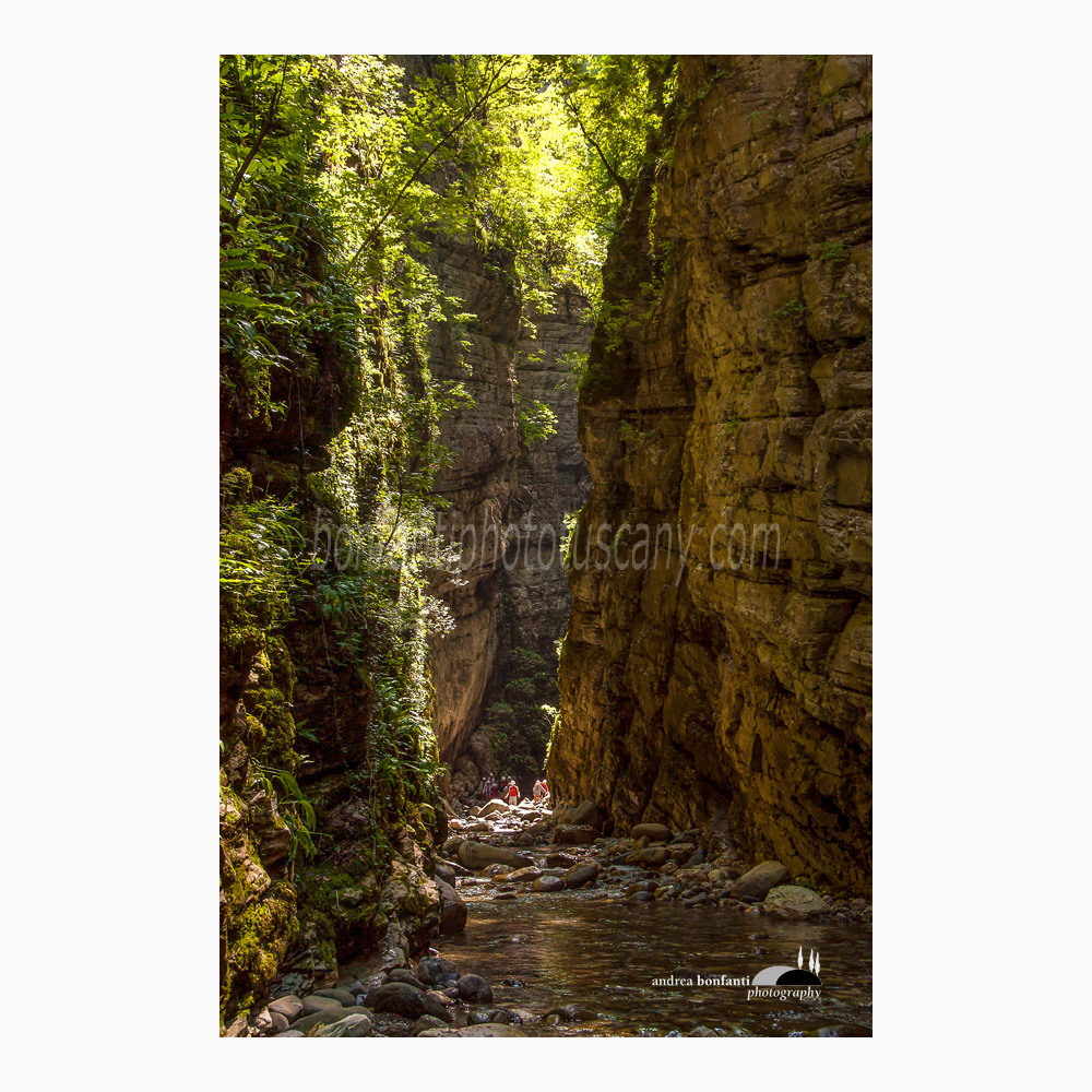orrido di Botri #7 controluce fra alte pareti rocciose.jpg orrido di Botri #7 controluce fra alte pareti rocciose.jpg