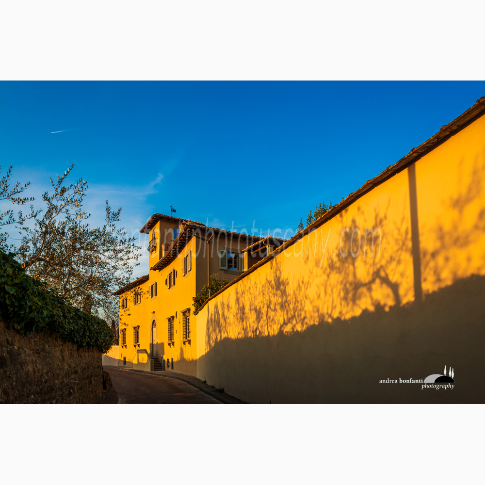 la villa razzolini spelman in via san leonardo con ombre di ulivi proiettate sul muro al tramonto.jpg la villa razzolini spelman in via san leonardo con ombre di ulivi proiettate sul muro al tramonto.jpg