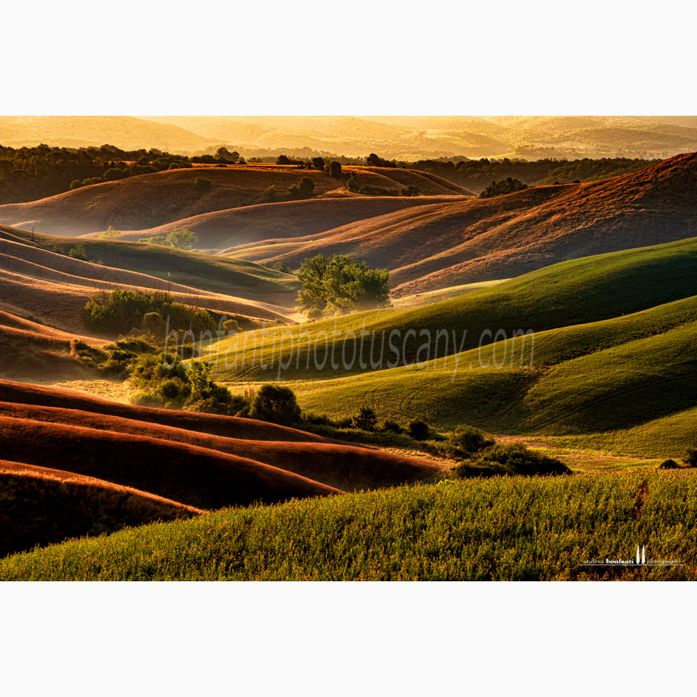 crete senesi landscape Summer #3 torre a castello.jpg