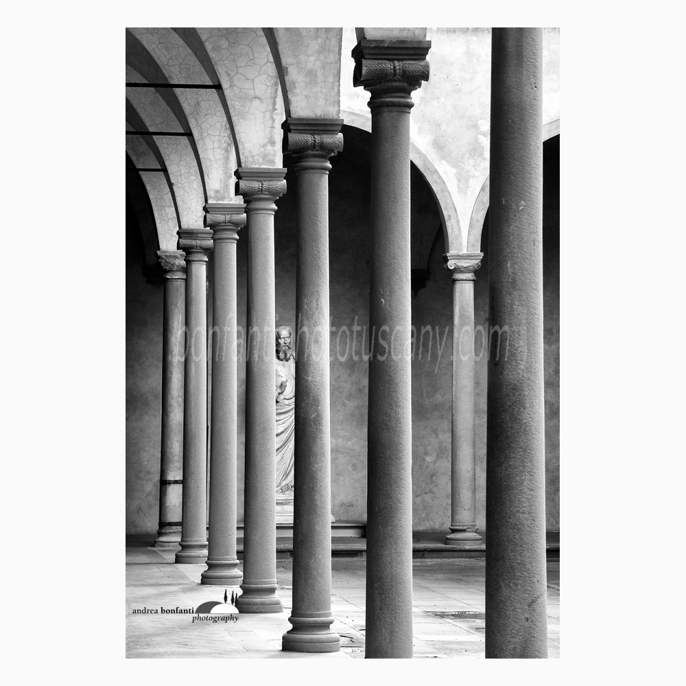 a statue sprout up from a moltitude of colums.jpg a statue sprout up from a moltitude of colums.jpg