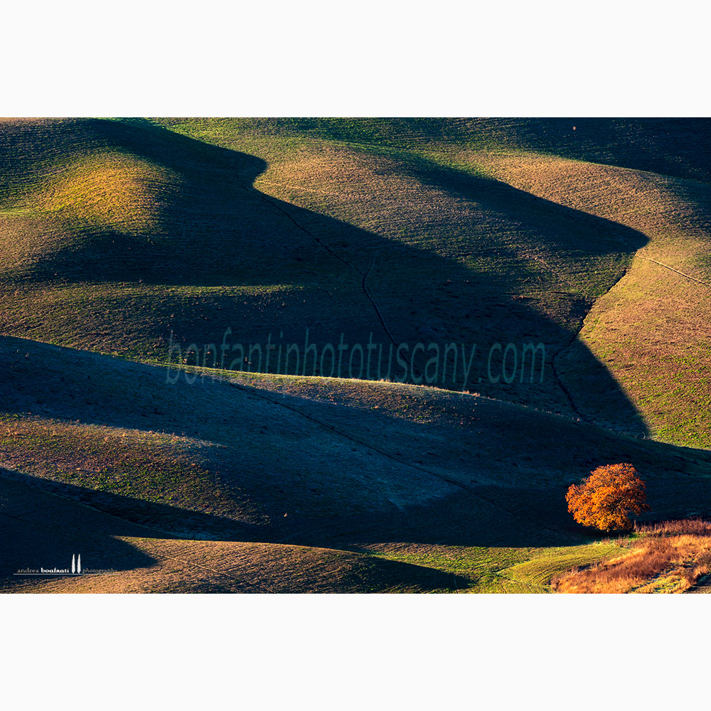 crete senesi landscape Autumn #3 calceno.jpg