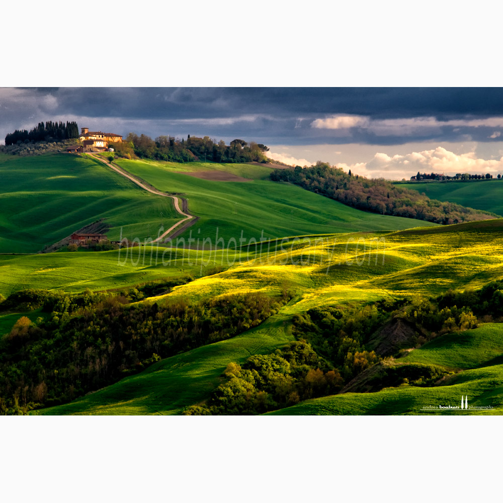 crete senesi landscape Spring #1 vescona.jpg