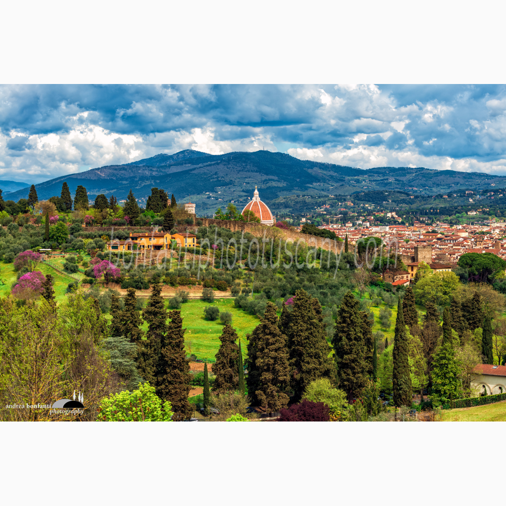 una veduta campestre di firenze dal viale dei colli all’imbocco di via san leonardo.jpg una veduta campestre di firenze dal viale dei colli all’imbocco di via san leonardo.jpg