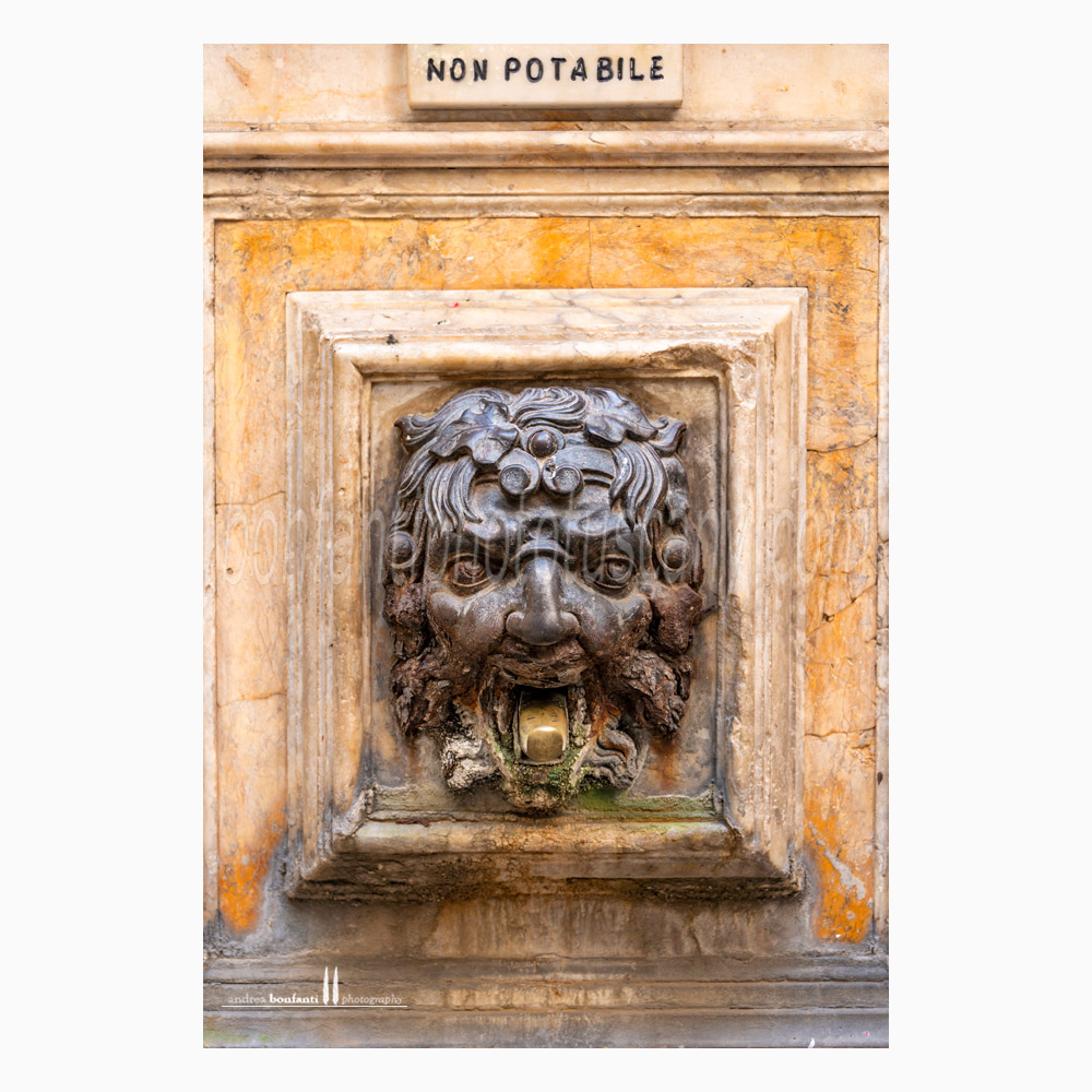 Siena - fonte di pantaneto #2