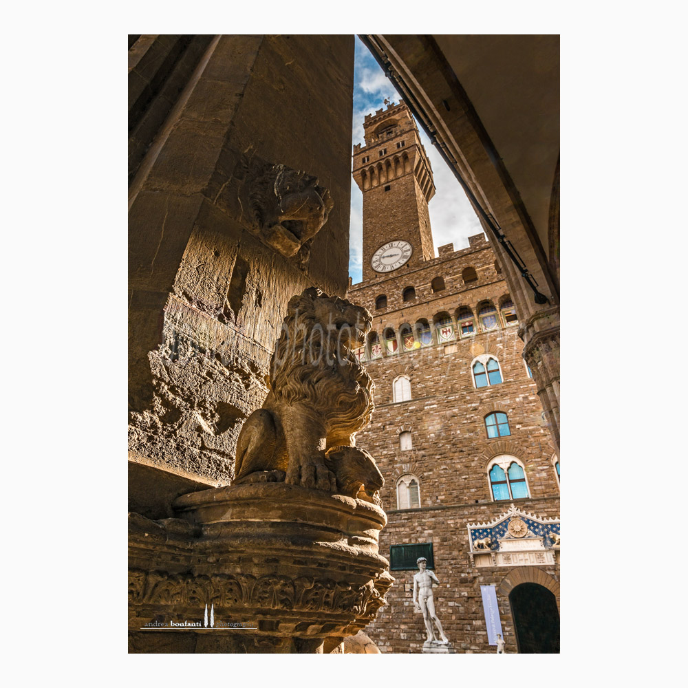 leoncino sotto la loggia e Palazzo Vecchio - Firenze