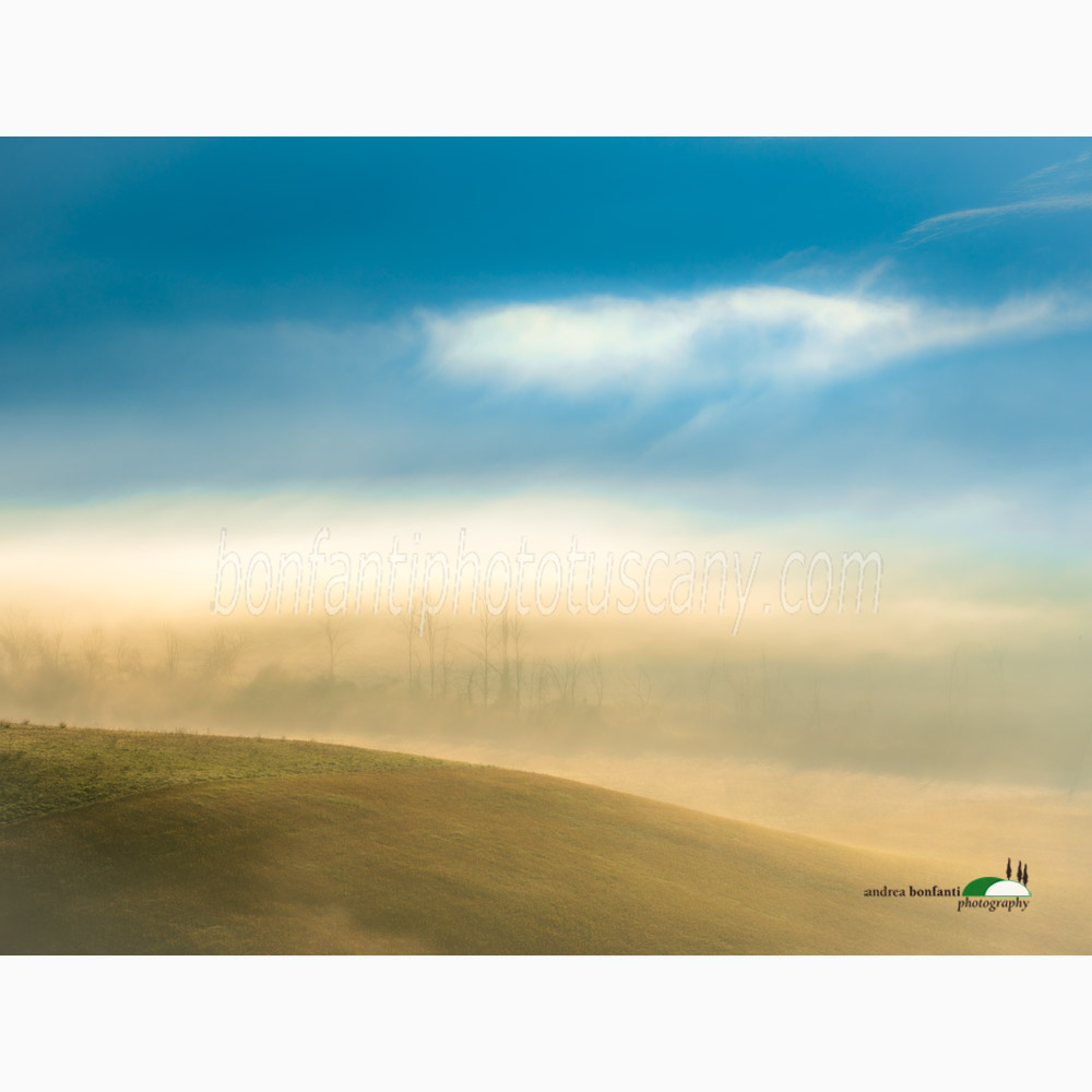 a veil of mystery.jpg