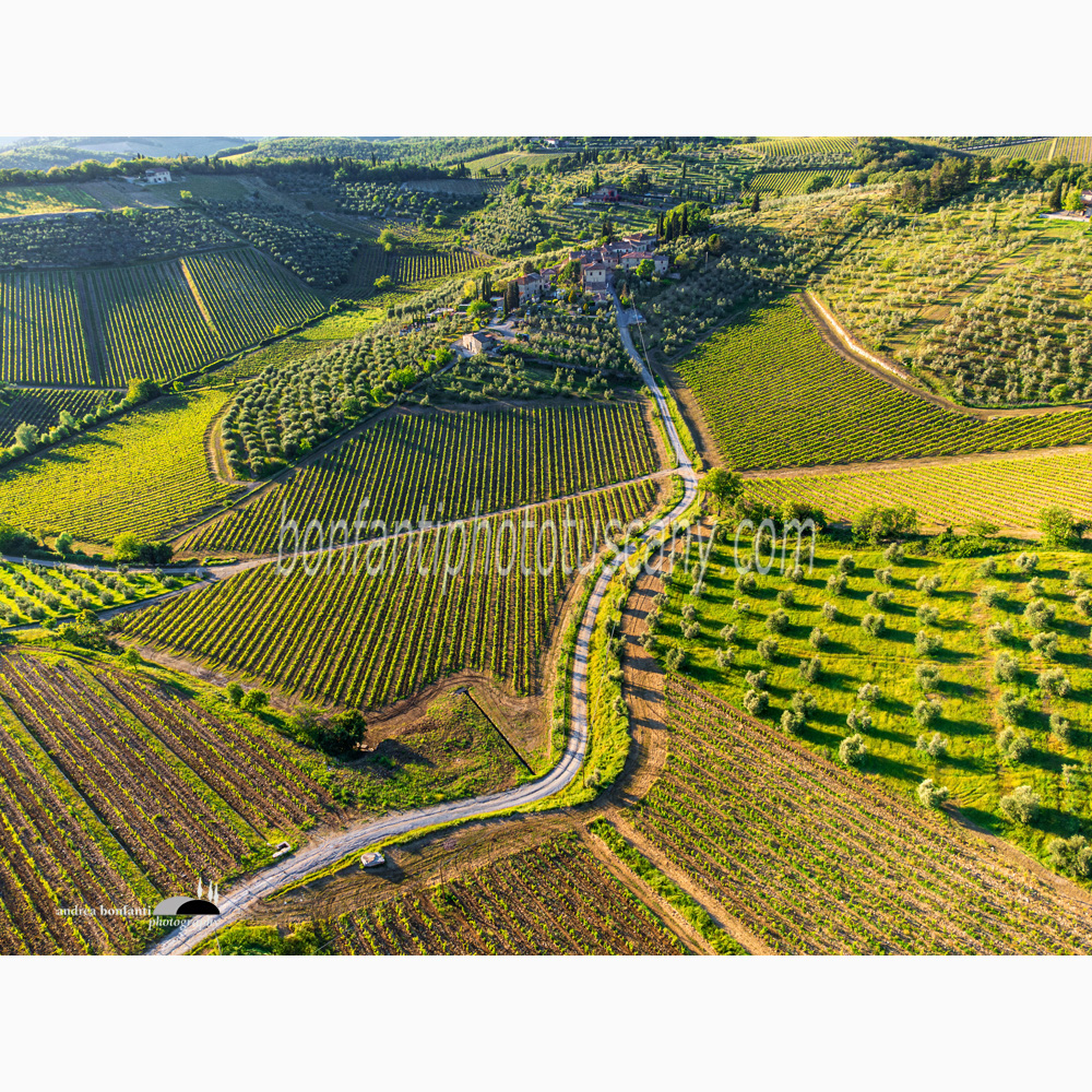 vineyard patterns all around the village of Ama (Gaiole in Chianti).jpg vineyard patterns all around the village of Ama (Gaiole in Chianti).jpg