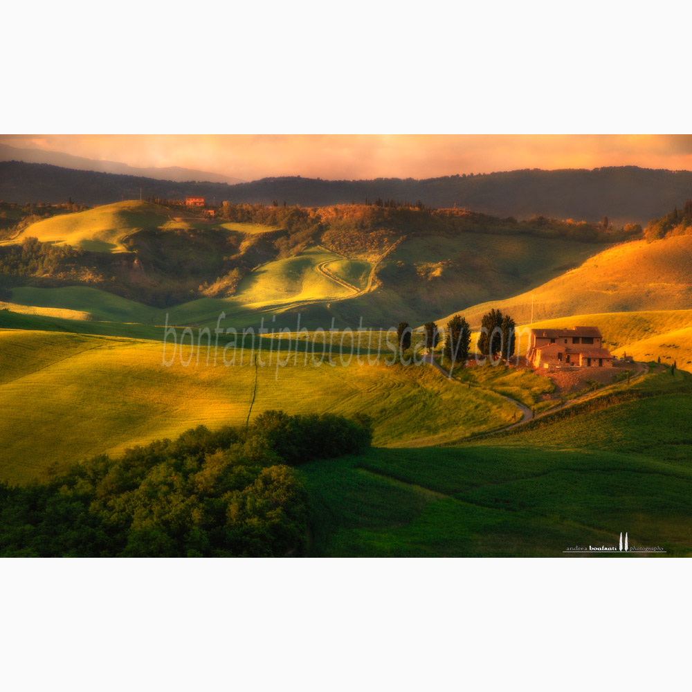 crete senesi landscape Summer #8 asciano.jpg