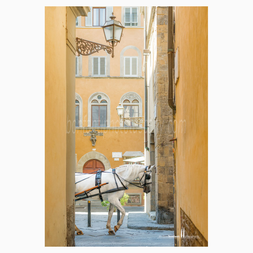 fiaccheraio in borgo Santi Apostoli - Firenze