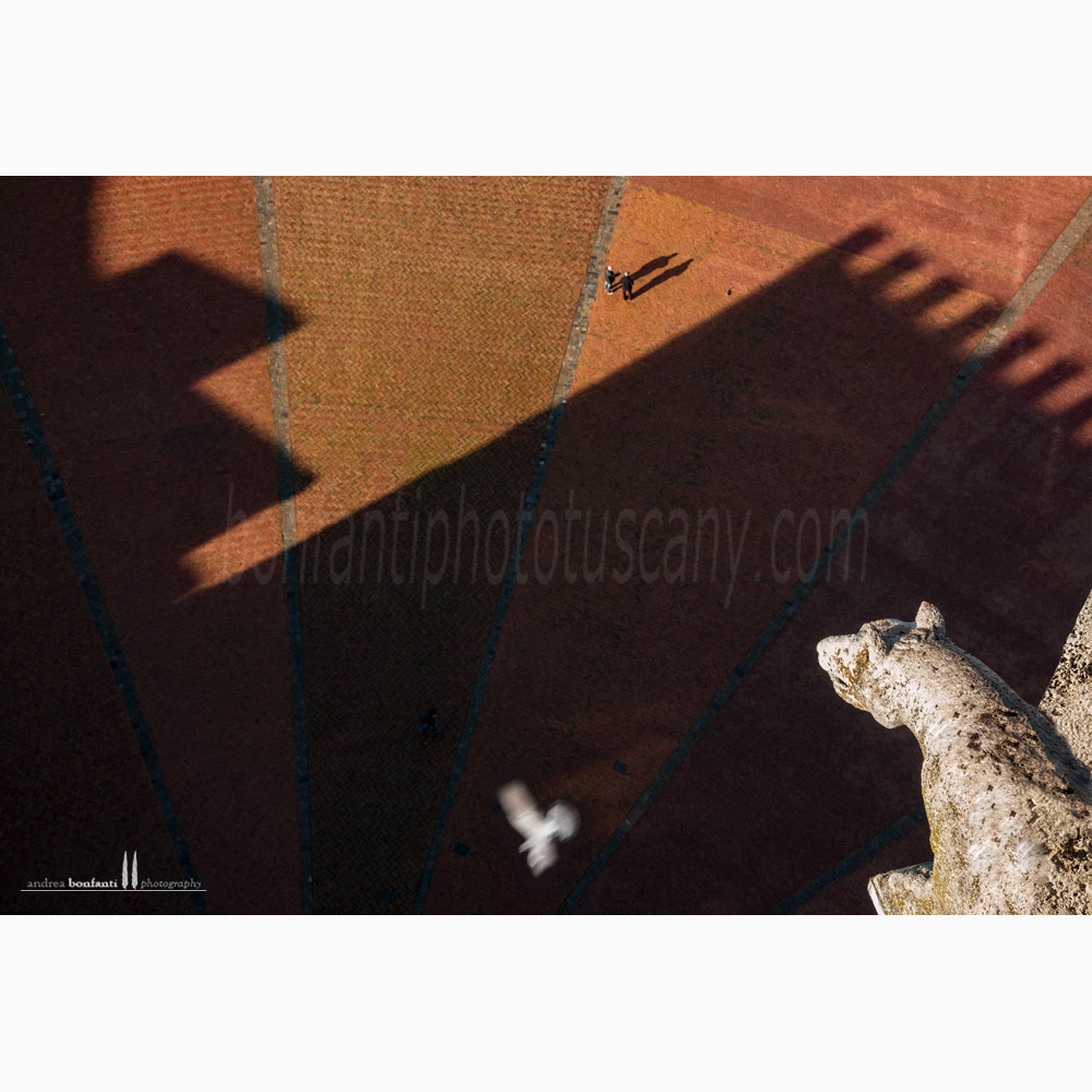 piazza del campo #3 siena