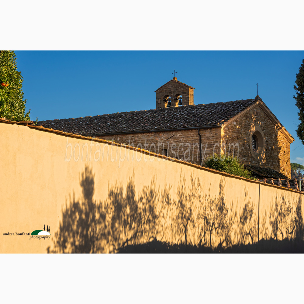 chiesa romanica di san leonardo in arcetri con ombre di ulivi proiettate sul muro di villa razzolini spelman.jpg chiesa romanica di san leonardo in arcetri con ombre di ulivi proiettate sul muro di villa razzolini spelman.jpg