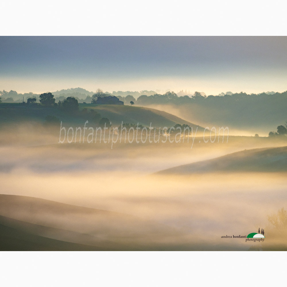 the best part of some mornings.jpg