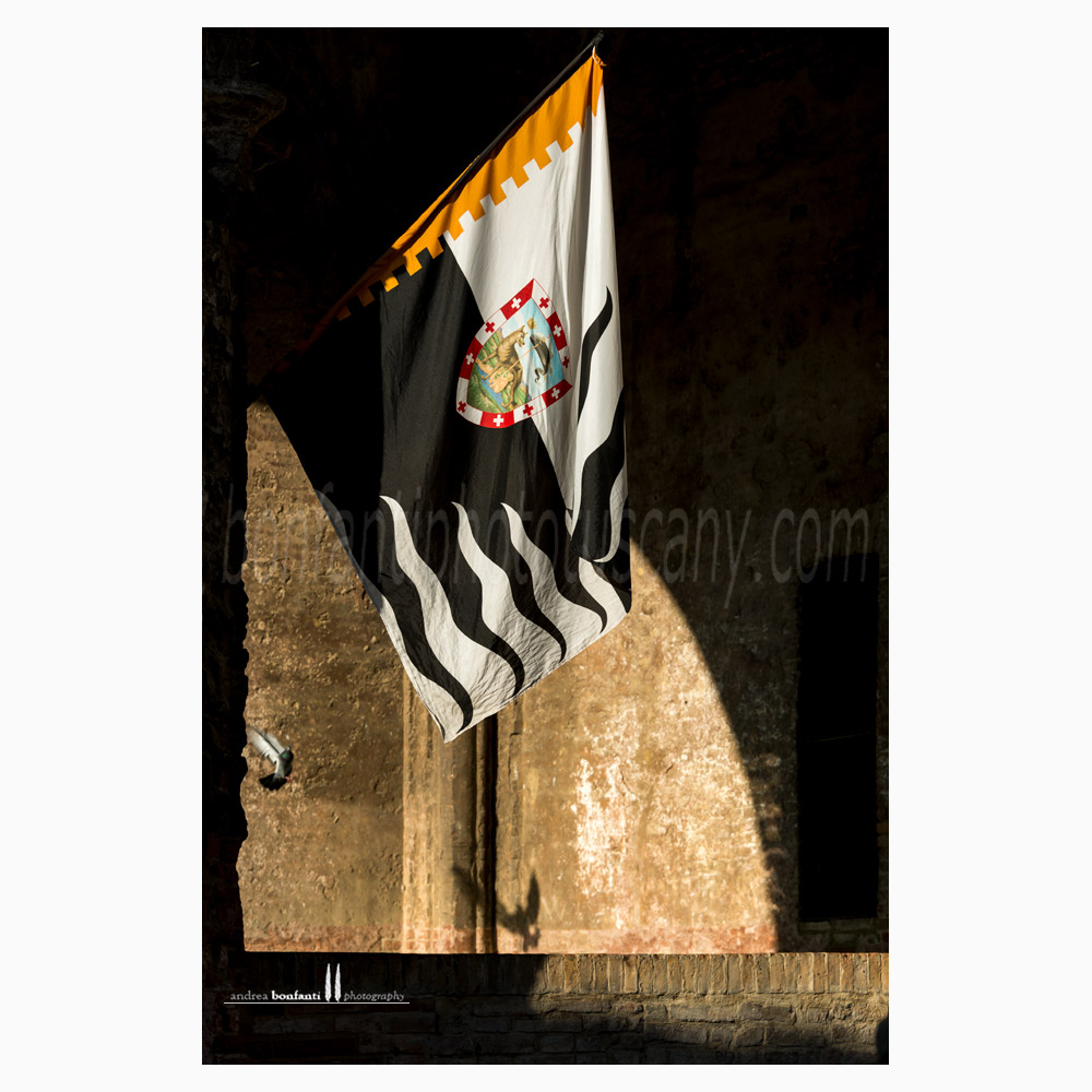 Siena - fonte di ovile #8 chiaroscuro