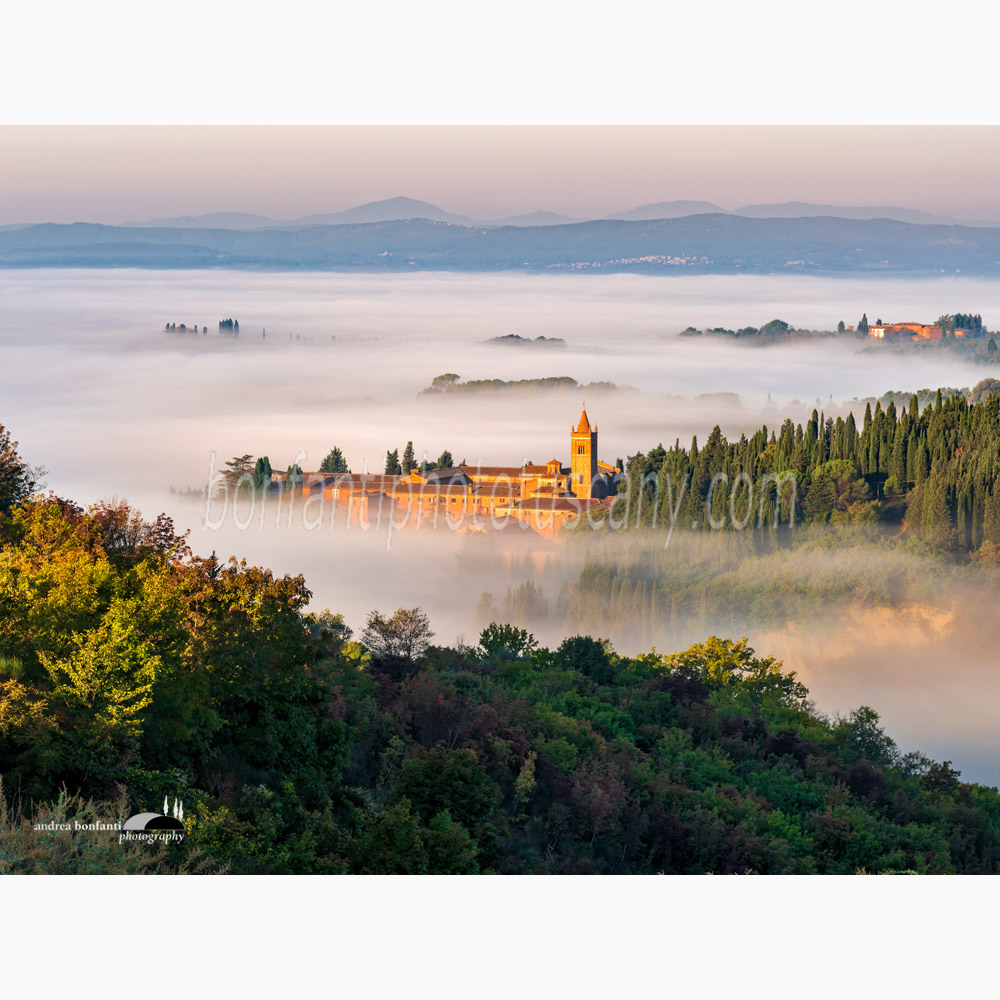 Monte Oliveto abbey floating on the mist.jpg