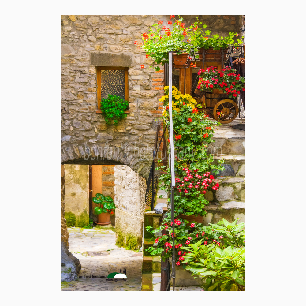 scorcio fiorito a vallico di sopra.jpg scorcio fiorito a vallico di sopra.jpg