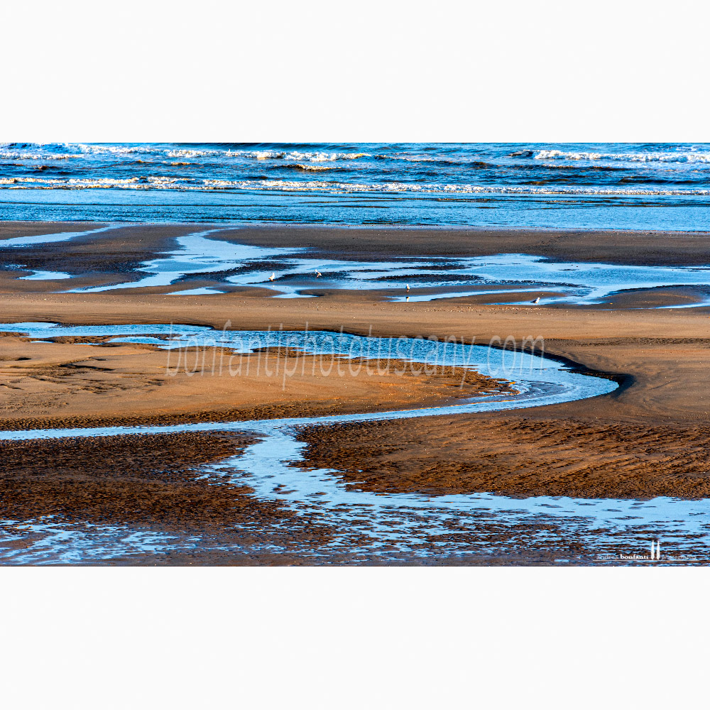 st.idesbald north sea - low tide in the early morning.jpg st.idesbald north sea - low tide in the early morning.jpg