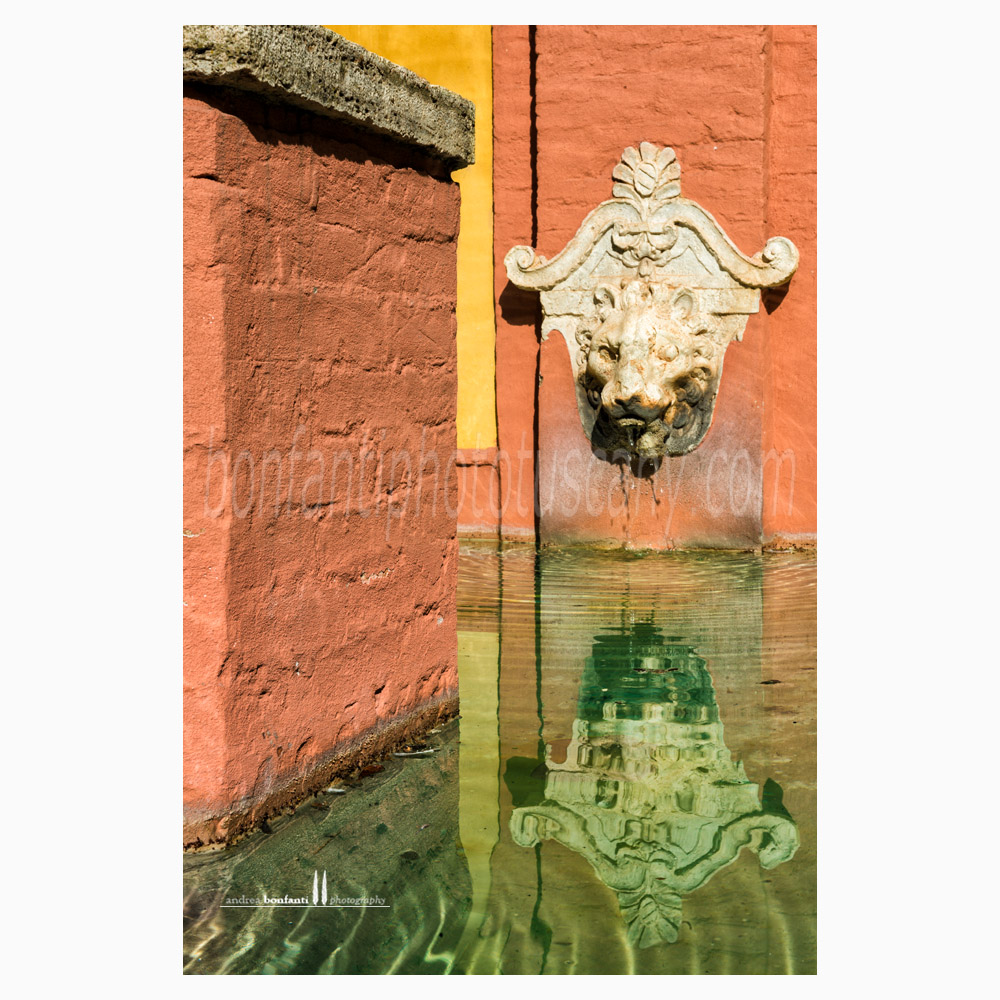 Siena -  fonte di san maurizio samoreci #2 dettaglio