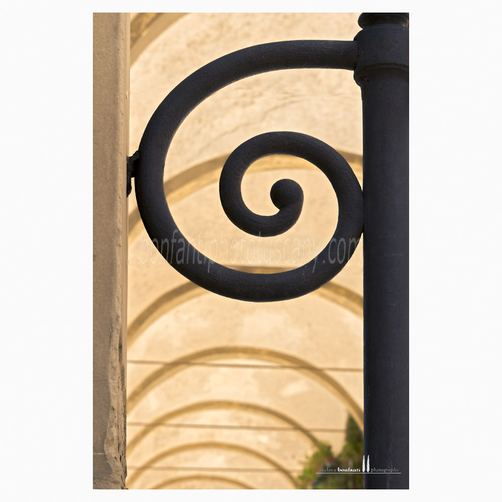 ricciolo in santissima annunziata.jpg