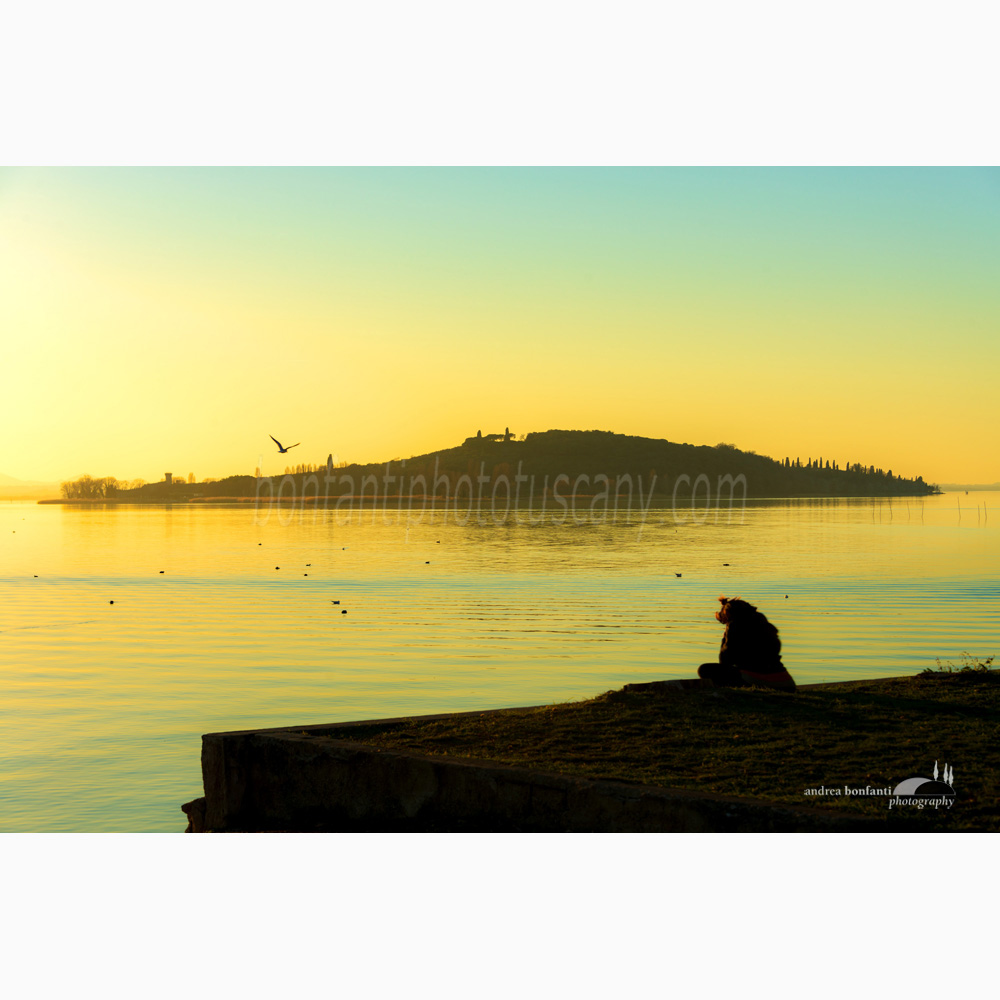 polvese island from san feliciano.jpg