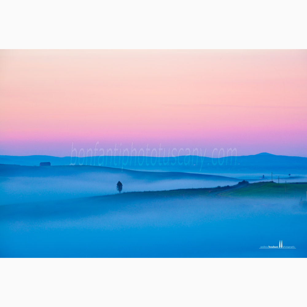 crete senesi landscape Autumn #8 torre a castello.jpg