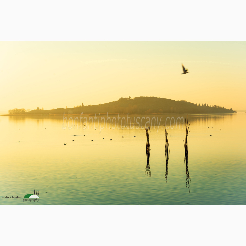 polvese island from san feliciano sul trasimeno in painterly light.jpg