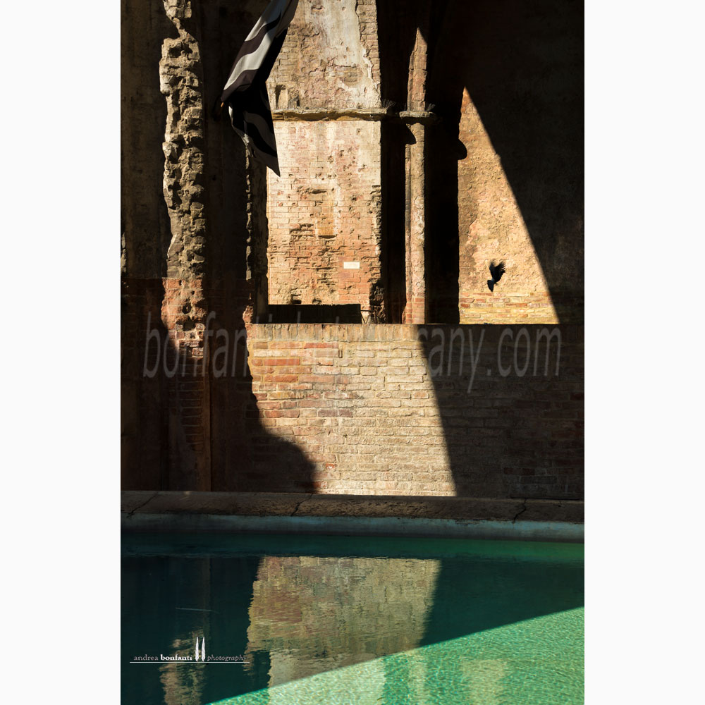 Siena - fonte di ovile #2