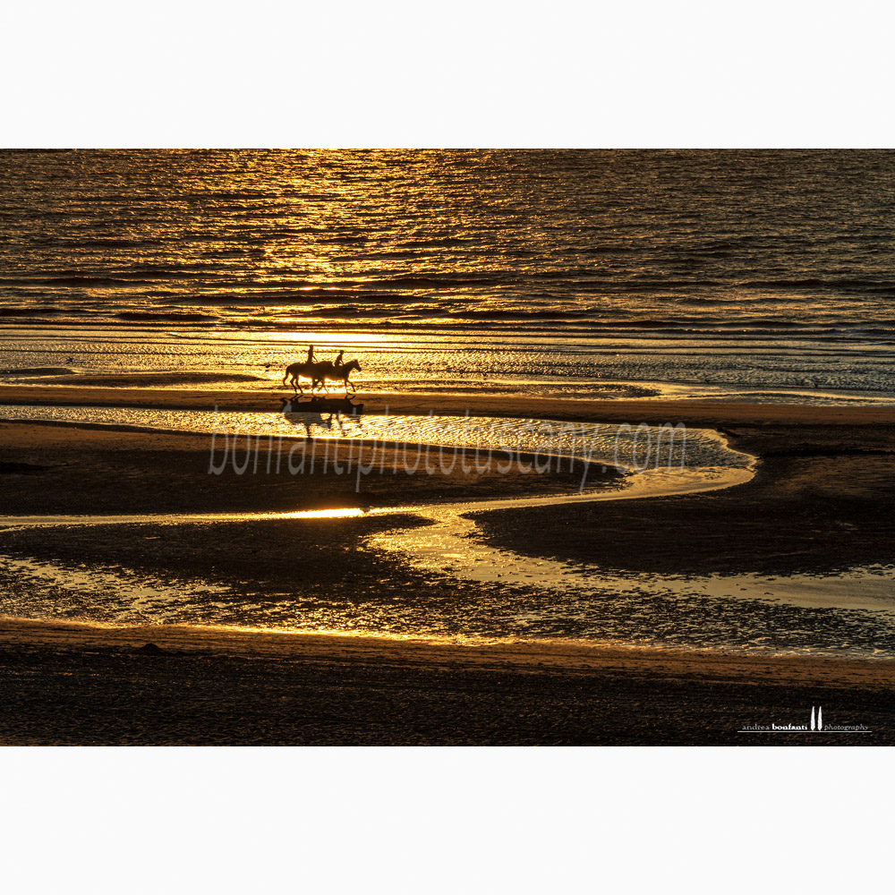 st.idesbald north sea - horse riding at sunset.jpg st.idesbald north sea - horse riding at sunset.jpg