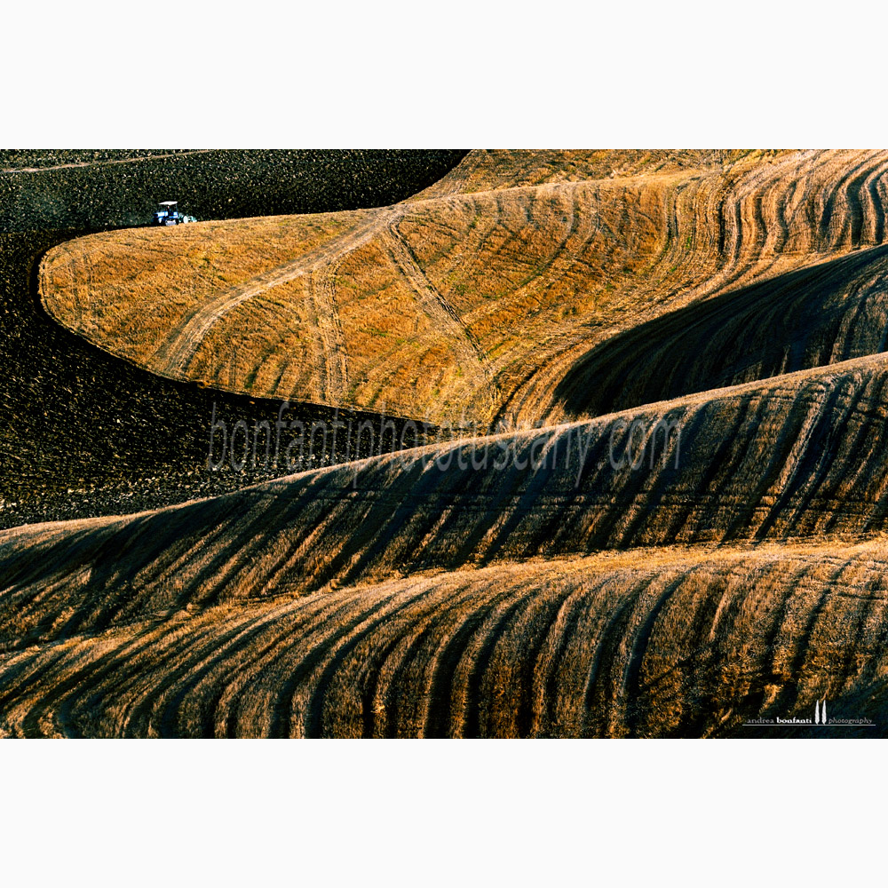 crete senesi landscape Summer #6 grania.jpg