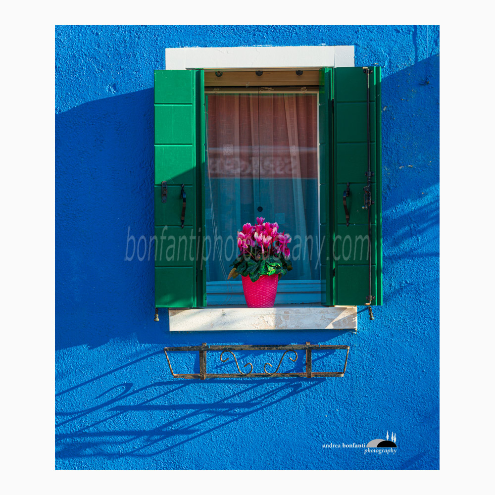 finestra con vaso di fiori su muro blu.jpg finestra con vaso di fiori su muro blu.jpg