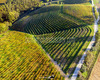 chianti vineyard patterns a photographic project by © andrea bonfanti ph.